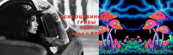 а пвп мука Новозыбков