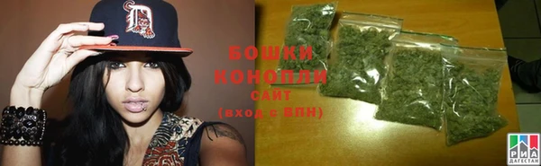 спиды Новодвинск