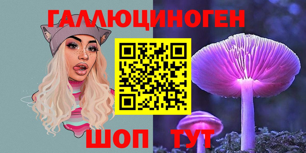 Псилоцибиновые грибы GOLDEN TEACHER  купить наркотики цена  Чита  Вход с VPN 